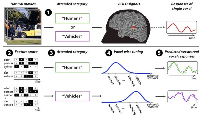 Bilkent EEE Computational Neuroscience